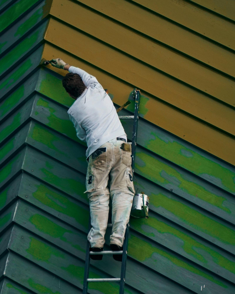 Roof Painting